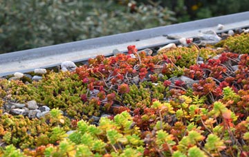 the cost of Moorefield green roof installation