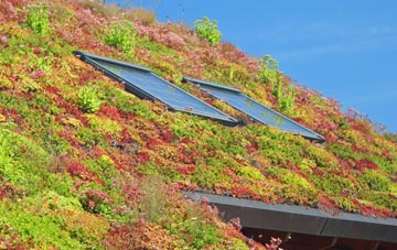 Moorefield living roof systems