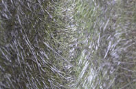 Moorefield fibreglass roof work